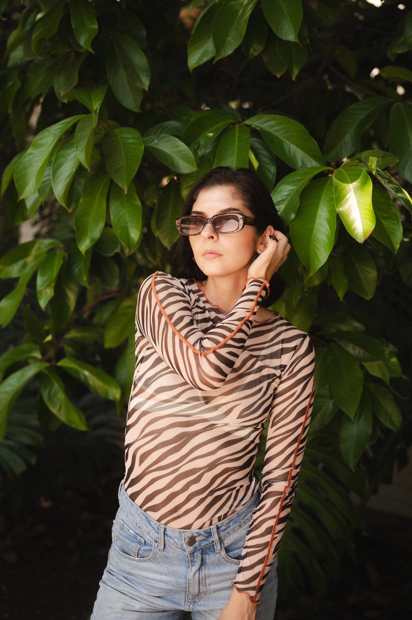 Moss top zebra