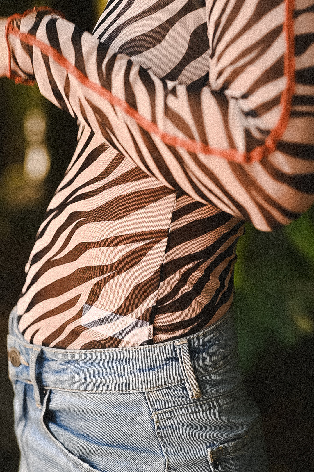 Moss top zebra